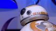 Filename=BB8__0896.jpg
Filesize=334KiB
Dimensions=1280x720
Date added=May 07, 2015 BB8__0896.jpg