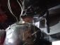Filename=DSC04918.JPG
Filesize=1236KiB
Dimensions=2592x1944
Date added=Jun 02, 2016 DSC04918.JPG