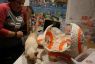 Filename=BB-8_First_Sphere_011_281024x68329.jpg
Filesize=381KiB
Dimensions=1024x683
Date added=Dec 15, 2015 BB-8_First_Sphere_011_281024x68329.jpg