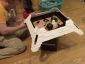 Filename=Building_H015_Skirt_28429.jpg
Filesize=504KiB
Dimensions=1440x1080
Date added=Jan 22, 2018 Building_H015_Skirt_28429.jpg