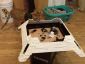 Filename=Building_H015_Skirt_28529.jpg
Filesize=312KiB
Dimensions=1030x773
Date added=Jan 22, 2018 Building_H015_Skirt_28529.jpg