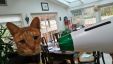 Filename=D-O_Head_with_Green.jpg
Filesize=656KiB
Dimensions=1920x1080
Date added=Jul 01, 2019 D-O_Head_with_Green.jpg