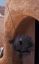 Filename=DRK-1_Dark_Eye_Probe_Reference_28229.jpg
Filesize=59KiB
Dimensions=396x647
Date added=Sep 01, 2016 DRK-1_Dark_Eye_Probe_Reference_28229.jpg