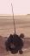 Filename=DRK-1_Dark_Eye_Probe_Reference_28829.jpg
Filesize=15KiB
Dimensions=199x355
Date added=Sep 01, 2016 DRK-1_Dark_Eye_Probe_Reference_28829.jpg