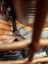 Filename=Galaxy_s_Edge_Medical_Droid_28229.jpg
Filesize=2639KiB
Dimensions=3024x4032
Date added=Aug 09, 2019 Galaxy_s_Edge_Medical_Droid_28229.jpg
