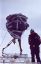 Filename=IMG_1187.JPG
Filesize=68KiB
Dimensions=345x533
Date added=Oct 20, 2017 IMG_1187.JPG