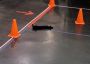 Filename=MCK-Y_7_Parts_Littering_Track_28129_281024x72529.jpg
Filesize=635KiB
Dimensions=1024x725
Date added=Apr 19, 2015 MCK-Y_7_Parts_Littering_Track_28129_281024x72529.jpg