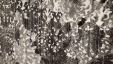 Filename=Rug_28129.jpg
Filesize=3819KiB
Dimensions=4032x2268
Date added=May 22, 2020 Rug_28129.jpg