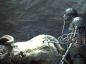Filename=21B_tauntaun0.jpg
Filesize=52KiB
Dimensions=621x458
Date added=Jun 14, 2019 21B_tauntaun0.jpg