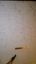 Filename=0523171101.jpg
Filesize=1131KiB
Dimensions=1440x2560
Date added=May 24, 2017 0523171101.jpg